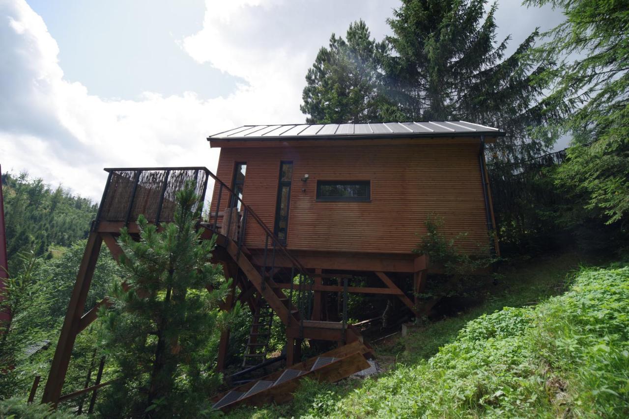 Ski House Szczyrk - Domek Na Kurzej Lapce المظهر الخارجي الصورة